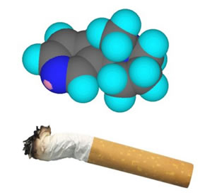 nicotine1.jpg